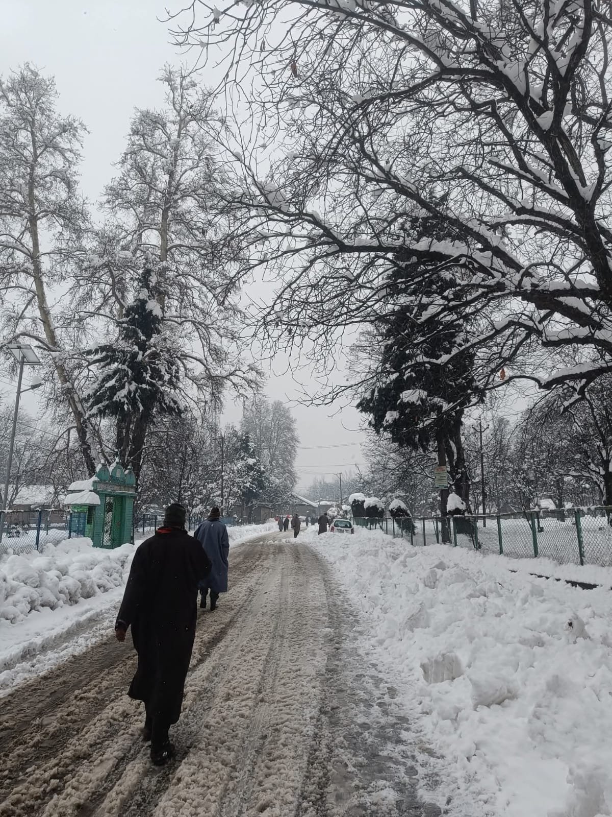 Best Time to Visit Kashmir: A Complete Season-by-Season Travel Guide